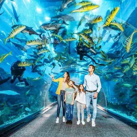 Acquario 11 Lejlighed *